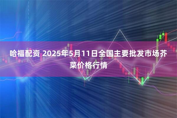 哈福配资 2025年5月11日全国主要批发市场芥菜价格行情