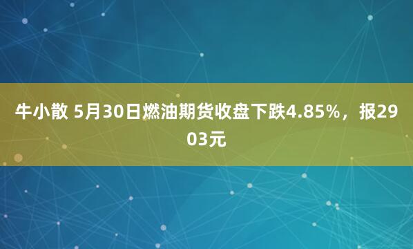 牛小散 5月30日燃油期货收盘下跌4.85%，报2903元