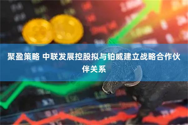 聚盈策略 中联发展控股拟与铂威建立战略合作伙伴关系